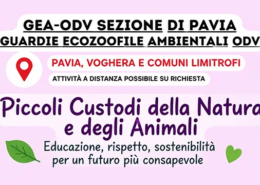 Piccoli Custodi della Natura e degli Animali, progetto di GEA-ODV Pavia per la scuola primaria